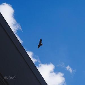 仙踪林小罗莉精品HD
