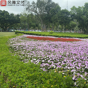 仙踪林小罗莉精品HD
